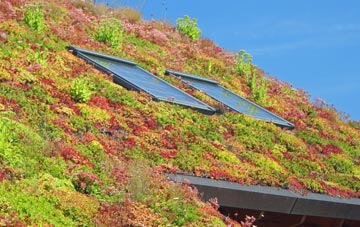 Lisnarrick living roof systems