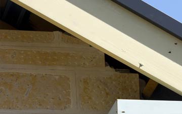 soffit repair Lisnarrick